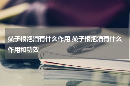 桑子根泡酒有什么作用 桑子根泡酒有什么作用和功效