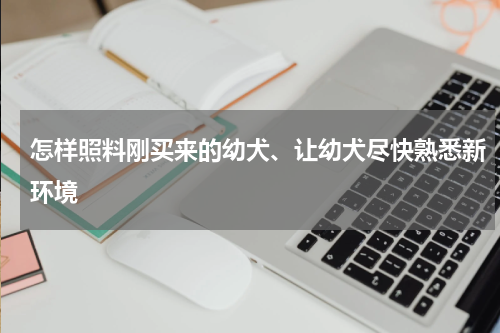 怎样照料刚买来的幼犬、让幼犬尽快熟悉新环境