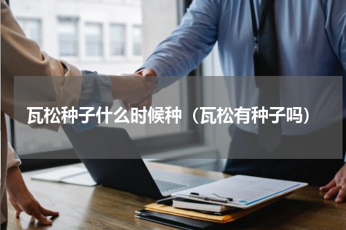 瓦松种子什么时候种（瓦松有种子吗）