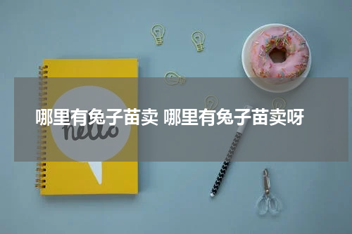 哪里有兔子苗卖 哪里有兔子苗卖呀