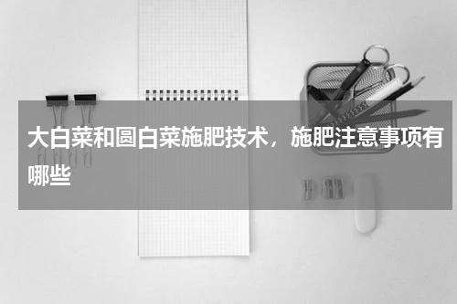大白菜和圆白菜施肥技术，施肥注意事项有哪些