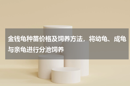 金钱龟种苗价格及饲养方法，将幼龟、成龟与亲龟进行分池饲养