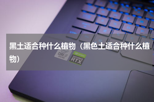黑土适合种什么植物（黑色土适合种什么植物）