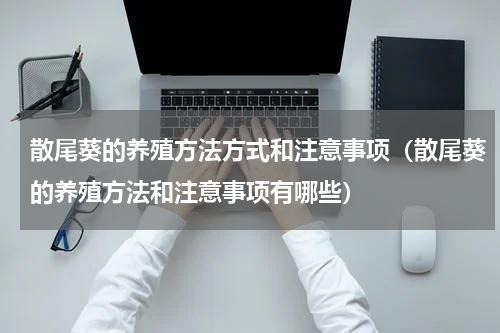 散尾葵的养殖方法方式和注意事项（散尾葵的养殖方法和注意事项有哪些）