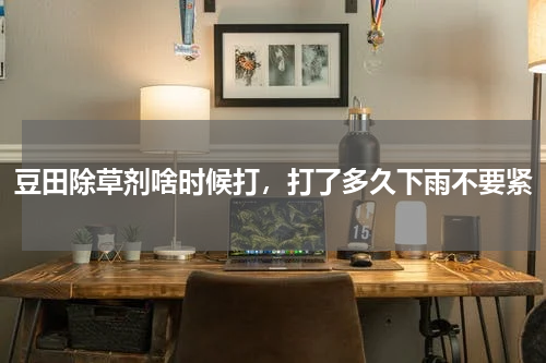 豆田除草剂啥时候打，打了多久下雨不要紧