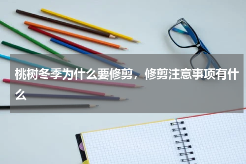 桃树冬季为什么要修剪，修剪注意事项有什么