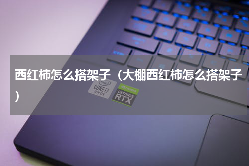 西红柿怎么搭架子（大棚西红柿怎么搭架子）