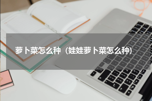 萝卜菜怎么种（娃娃萝卜菜怎么种）
