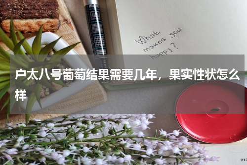 户太八号葡萄结果需要几年，果实性状怎么样