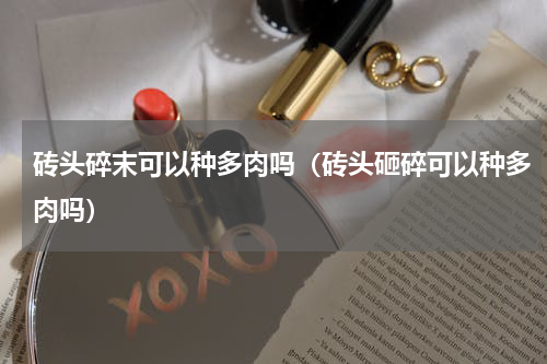 砖头碎末可以种多肉吗（砖头砸碎可以种多肉吗）