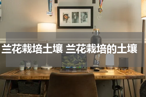兰花栽培土壤 兰花栽培的土壤