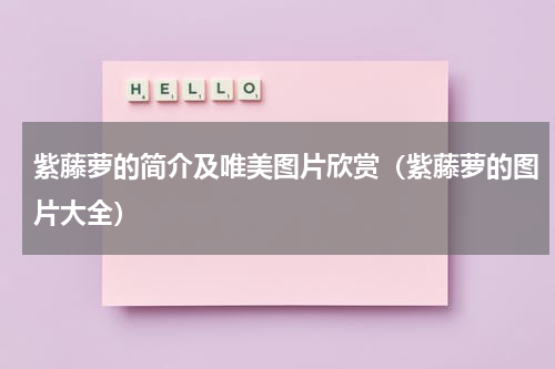 紫藤萝的简介及唯美图片欣赏（紫藤萝的图片大全）