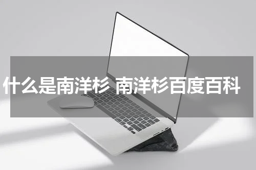 什么是南洋杉 南洋杉百度百科