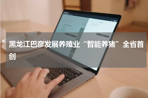 黑龙江巴彦发展养殖业“智能养猪”全省首创