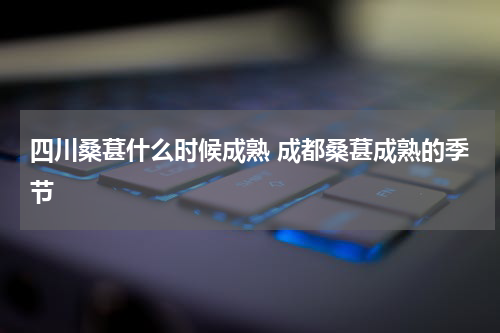 四川桑葚什么时候成熟 成都桑葚成熟的季节