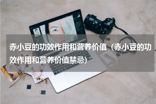 赤小豆的功效作用和营养价值（赤小豆的功效作用和营养价值禁忌）