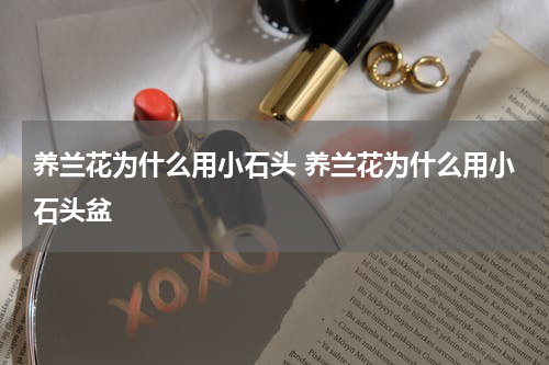养兰花为什么用小石头 养兰花为什么用小石头盆