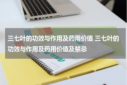 三七叶的功效与作用及药用价值 三七叶的功效与作用及药用价值及禁忌