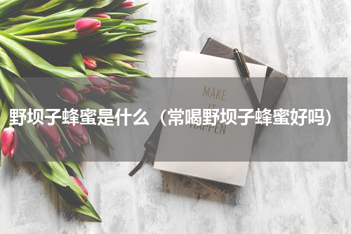 野坝子蜂蜜是什么（常喝野坝子蜂蜜好吗）