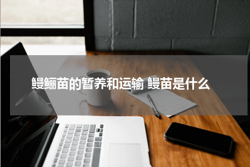鳗鲡苗的暂养和运输 鳗苗是什么