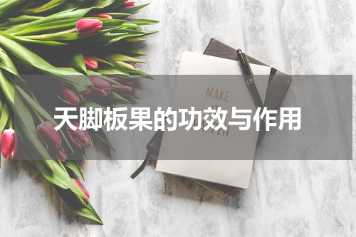天脚板果的功效与作用