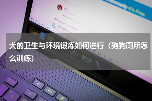 犬的卫生与环境锻炼如何进行（狗狗厕所怎么训练）