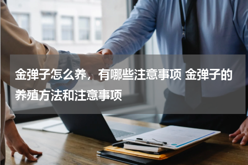 金弹子怎么养，有哪些注意事项 金弹子的养殖方法和注意事项