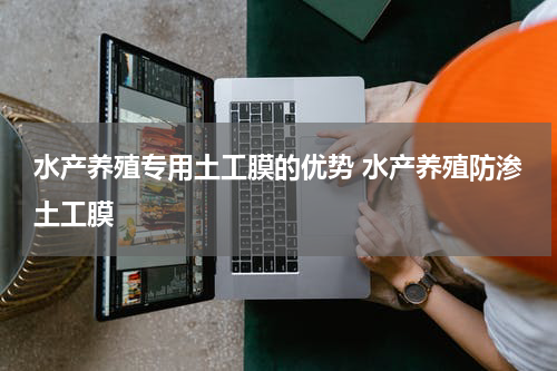 水产养殖专用土工膜的优势 水产养殖防渗土工膜