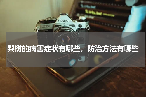 梨树的病害症状有哪些，防治方法有哪些