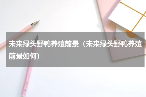 未来绿头野鸭养殖前景（未来绿头野鸭养殖前景如何）