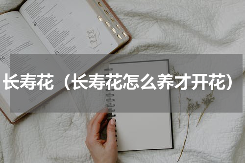 长寿花（长寿花怎么养才开花）