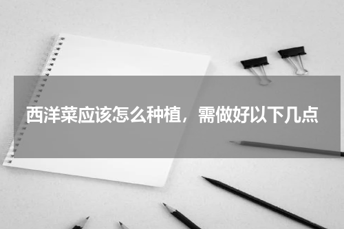 西洋菜应该怎么种植，需做好以下几点