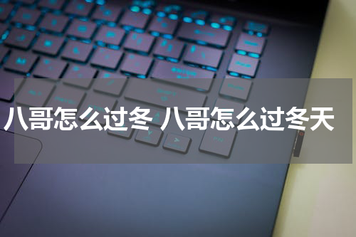 八哥怎么过冬 八哥怎么过冬天