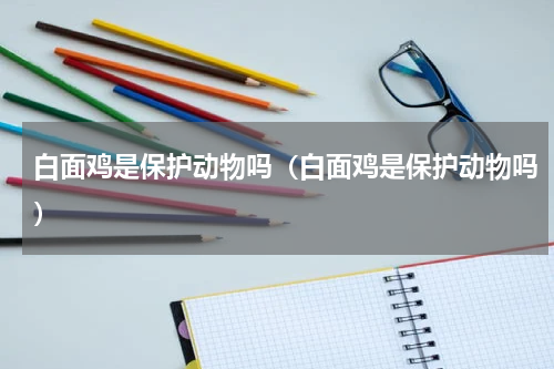 白面鸡是保护动物吗（白面鸡是保护动物吗）