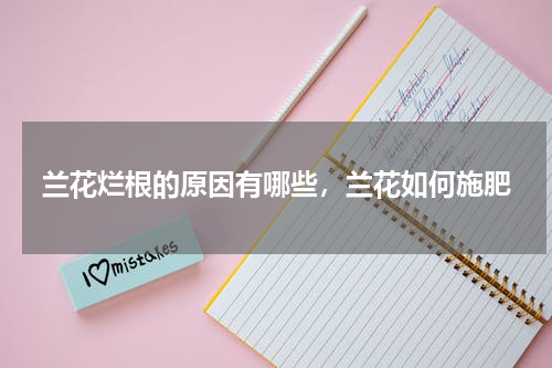 兰花烂根的原因有哪些，兰花如何施肥