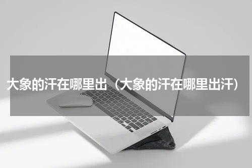 大象的汗在哪里出（大象的汗在哪里出汗）