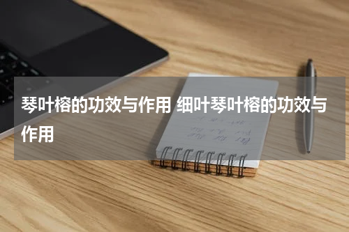 琴叶榕的功效与作用 细叶琴叶榕的功效与作用
