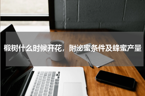 椴树什么时候开花，附泌蜜条件及蜂蜜产量