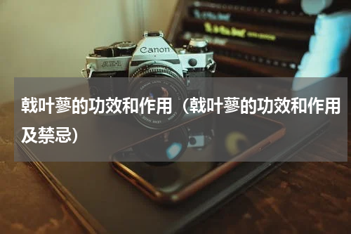 戟叶蓼的功效和作用（戟叶蓼的功效和作用及禁忌）
