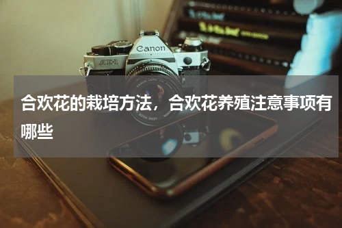 合欢花的栽培方法，合欢花养殖注意事项有哪些