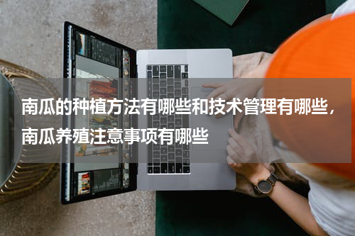 南瓜的种植方法有哪些和技术管理有哪些，南瓜养殖注意事项有哪些