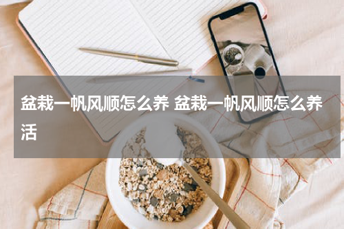 盆栽一帆风顺怎么养 盆栽一帆风顺怎么养活