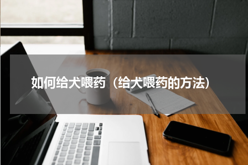 如何给犬喂药（给犬喂药的方法）