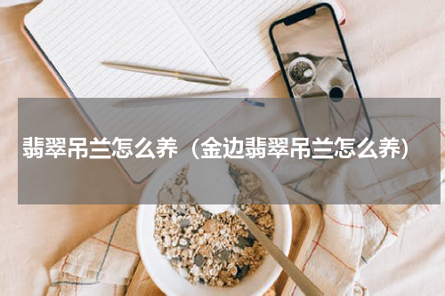 翡翠吊兰怎么养（金边翡翠吊兰怎么养）