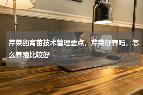 芹菜的育苗技术管理要点，芹菜好养吗，怎么养殖比较好