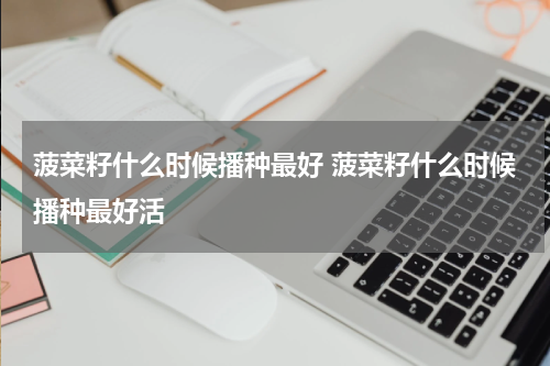 菠菜籽什么时候播种最好 菠菜籽什么时候播种最好活