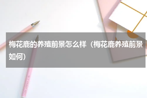 梅花鹿的养殖前景怎么样（梅花鹿养殖前景如何）