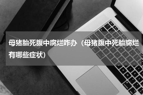 母猪胎死腹中腐烂咋办（母猪腹中死胎腐烂有哪些症状）