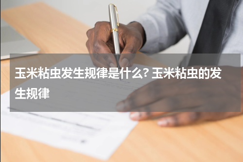 玉米粘虫发生规律是什么? 玉米粘虫的发生规律