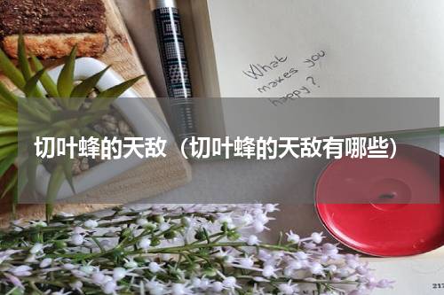 切叶蜂的天敌（切叶蜂的天敌有哪些）